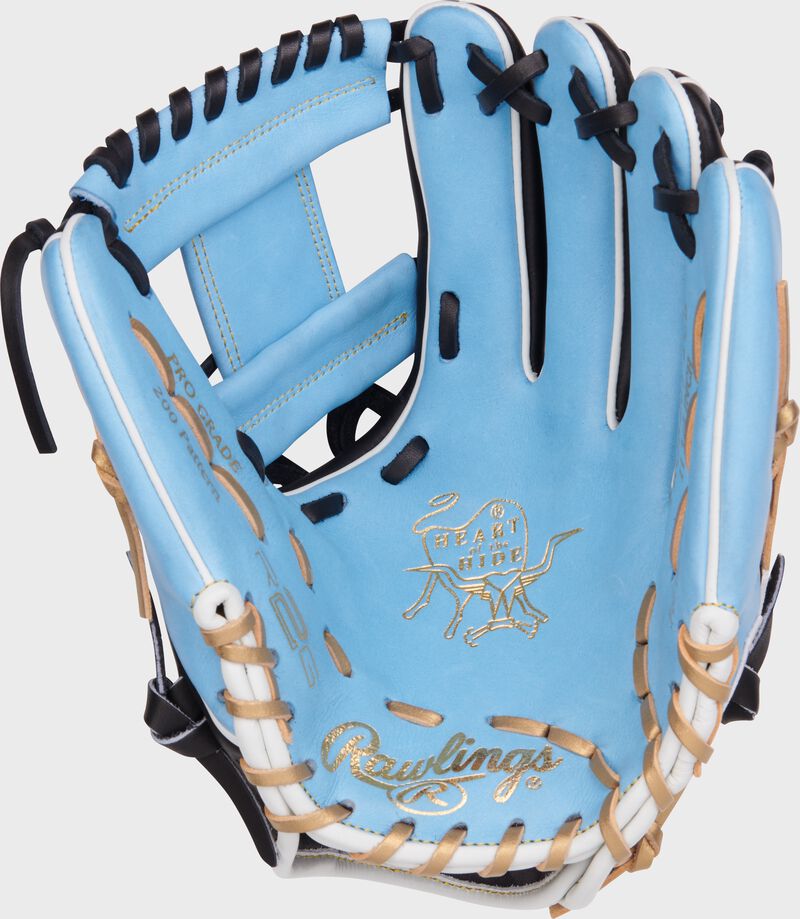 R2G Heart of the Hide 11.75" Glove